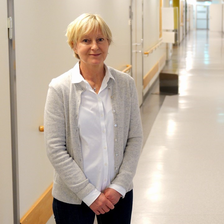 Region Halland och VidiView